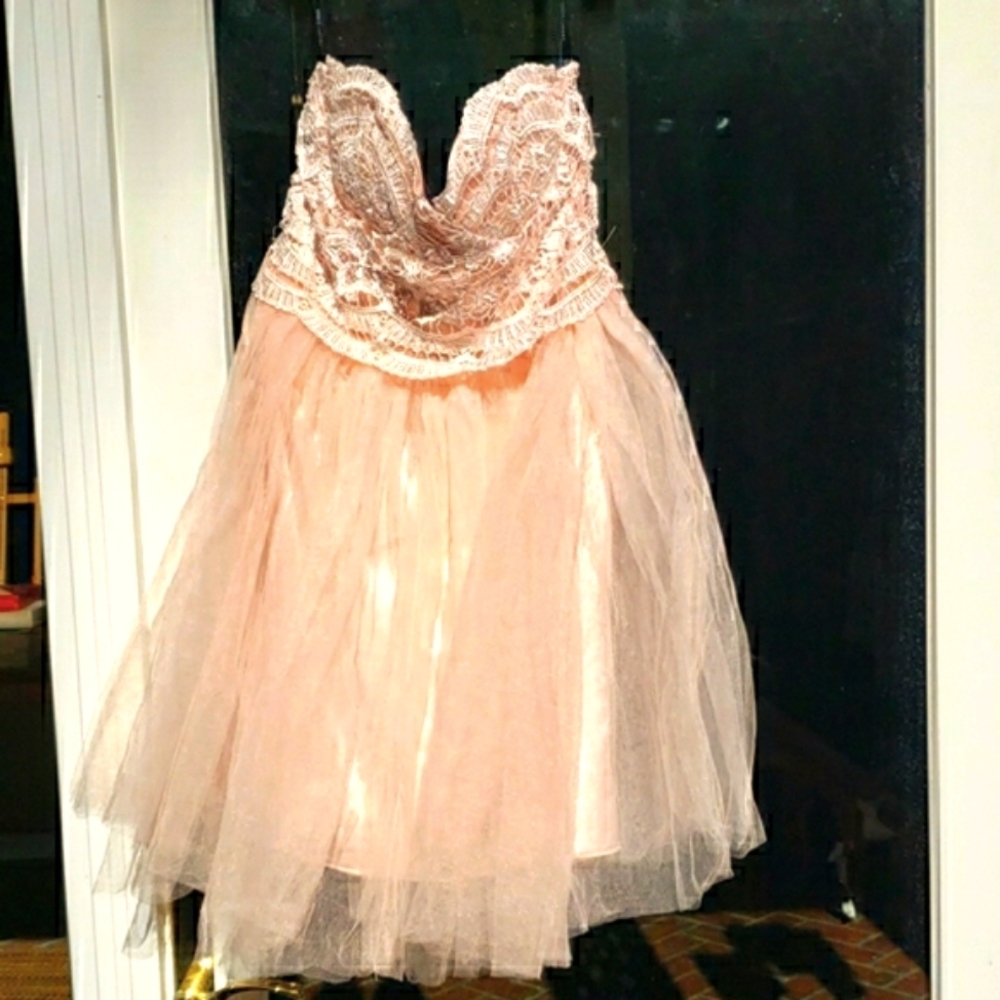 NWT London Strapless lace top tulle skirt dress